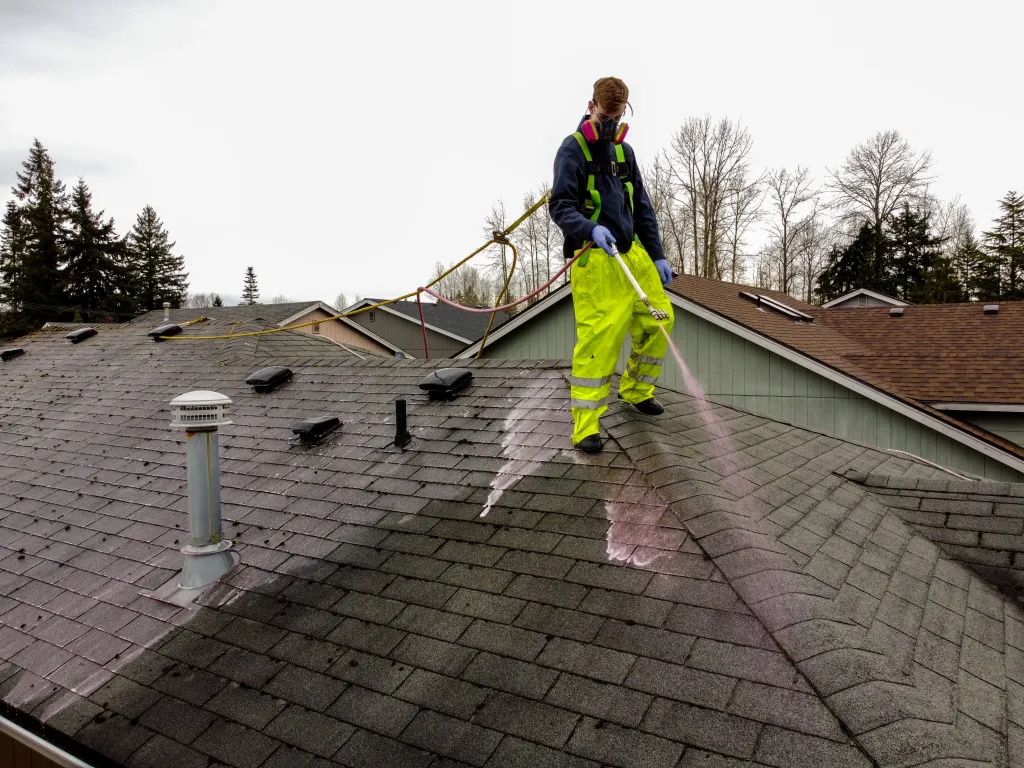 Roof Soft Washing